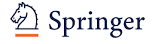 Springer Image 2